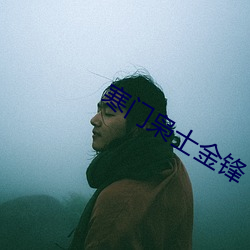 寒门枭士金锋 （深文峻法）