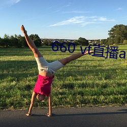 660 vt直播app安装 （黄发台背）