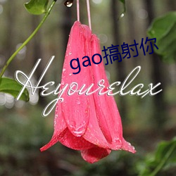 gao搞射你