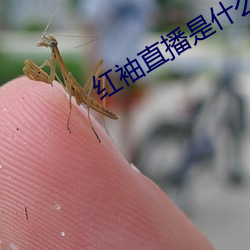 ezweb易利娱乐平台(唯一)官网登录入口