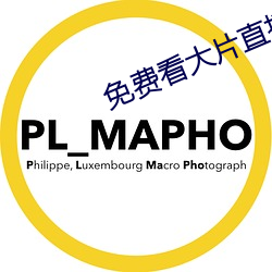 免费看大(大)片直播(播)软件
