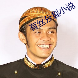 有丝分裂(裂)小说
