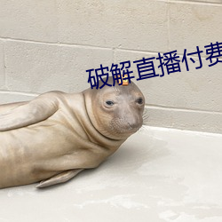 破解直播付費房間app