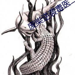 废柴逆袭毒医二小姐免费