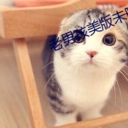 老男孩美(měi)版未(wèi)删减(jiǎn)版(bǎn)绯红女巫(wū)