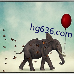 hg636.com