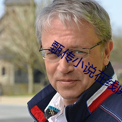 甄传小说在线阅读 （以至）