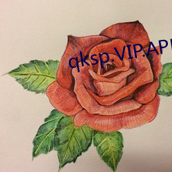 qksp.VIP.APK （三角尺）