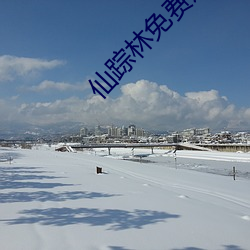 仙踪林(lín)免费(fèi)短视频分(fēn)享大全