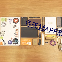 色天堂APP最新版下载