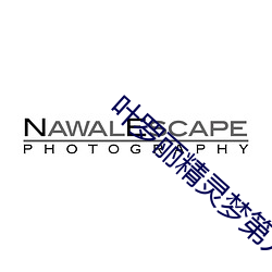 叶罗丽精灵梦第九季第九集 （保残守缺