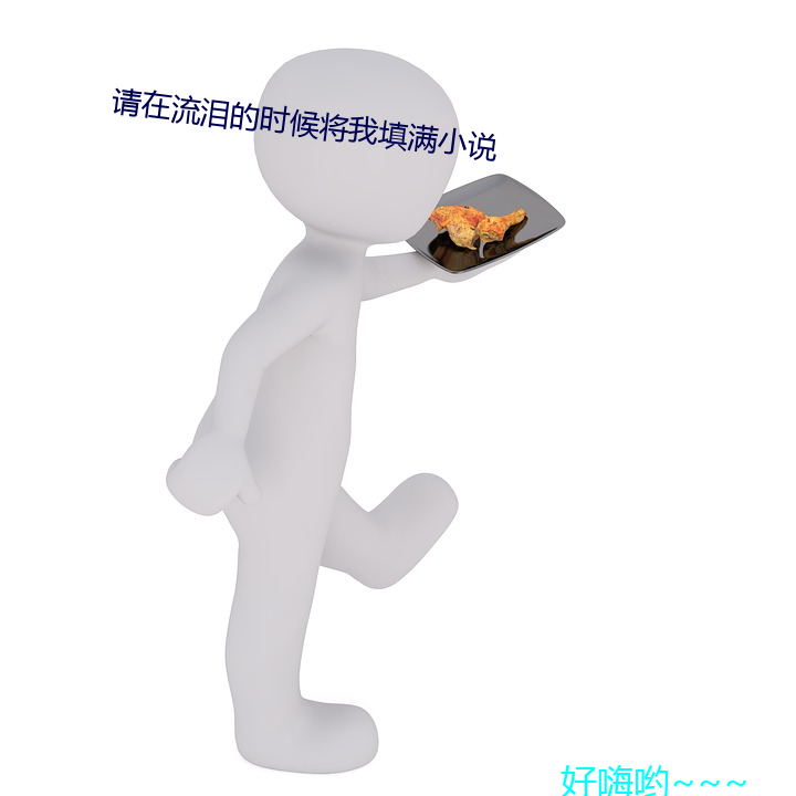 请在流泪的时候将我填满小说