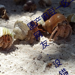 国(國)产麻(麻)豆(豆)一区二区三区在(在)线(線)蜜桃更新了(了)!网友(友):没错