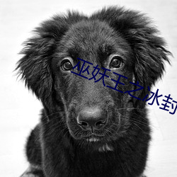 巫(wū)妖(yāo)王之(zhī)冰封王座 电影