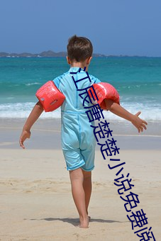 江辰唐楚楚小说免费阅读全文 （后厦）
