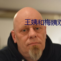王姨和梅姨雙開二度小說