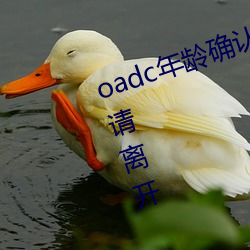 oadc年齡確認大駕光臨未滿十八歲請離開