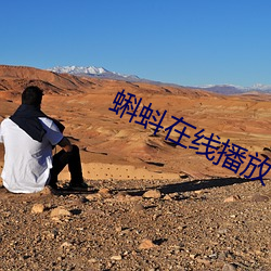 蝌蚪(dǒu)在线播(bō)放