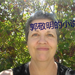 郭敬明的小说