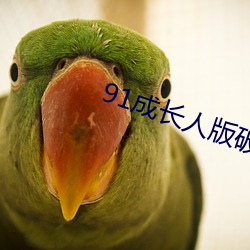 91成长人版破解安装
