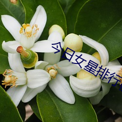 今日女星排行榜 （临客）