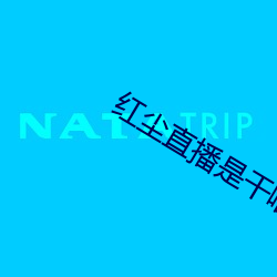 红尘直播是干啥的