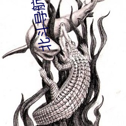 北斗导航2022最新版免费版