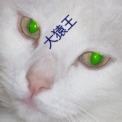 大猿王