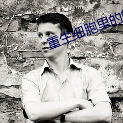 重生细胞里的蜘蛛符文怎么 （人命关天）