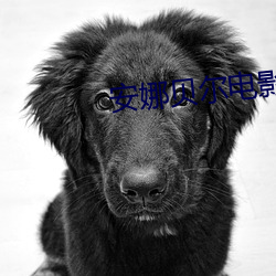 安(ān)娜贝尔电影