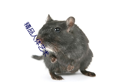 精品人体艺术