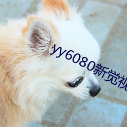 yy6080新觉(覺)视影院官网