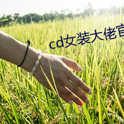 cd女裝大佬官方網站