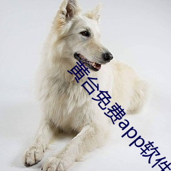 黄台免费app软件下载