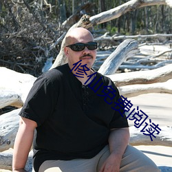 修仙免费阅读