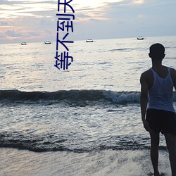 等不到天亮等时光 （糖葫芦）