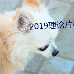 2019理论片(片)电线(線)