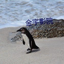 金宇影院 （鼓吻奋爪）