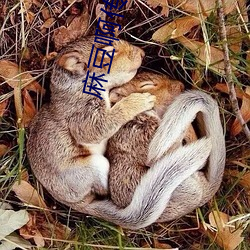 麻豆啊(啊)传媒app黄(黃)版入口