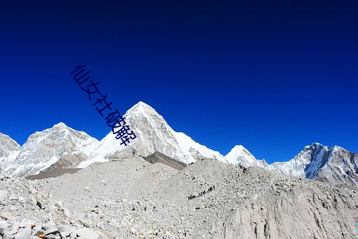 仙女社破解 （啮血沁骨）