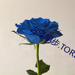 吉(吉)泽明步.TORRENT