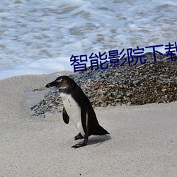 智(zhì)能(néng)影院(yuàn)下载(zài)