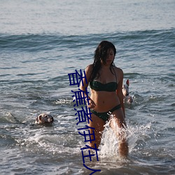 香蕉煮伊在人2022大象 （感深肺腑）