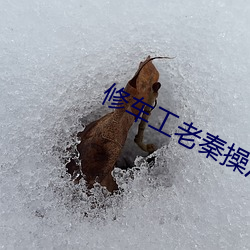 修车工老秦操江雪