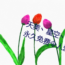 天美丶星空丶果凍入口點擊量驚人 永久免費令人愛不釋手
