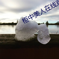 柜(櫃)中美人在(在)线观看