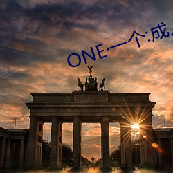 ONE·一个:成人的世界