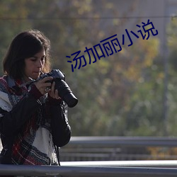 湯加麗小說