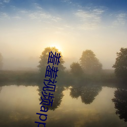 羞羞视频(頻)app安卓版