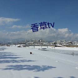 香草tv